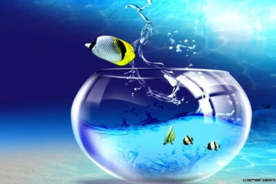 Windows 7 wallpaper hd 1366x768 free download your hd wallpaper.jpg