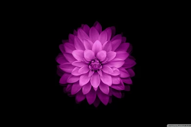 Aero Archives   Page 3 Of 7   Free Wallpapers Full Hd 1080p, High ...