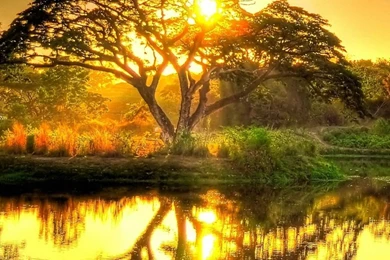 Bike Grass River Sunset iPhone 6 Wallpapers HD And 1080P 6 Plus ...