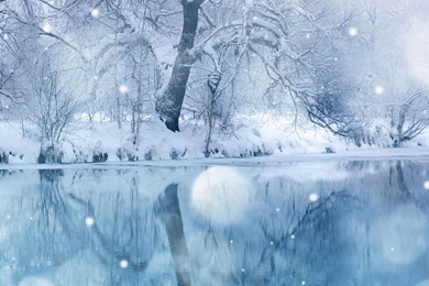 Winter Snowfall iPad Air Wallpapers Download