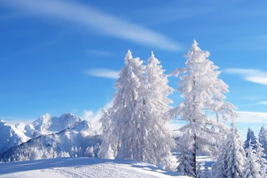 Winter iPad 3,4 & Air Wallpapers