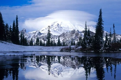 Winter Scenery iPad Wallpapers Download