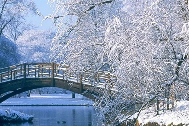 768x1024 Winter Scenery Ipad Wallpapers