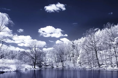 Snow Winter Scene iPad 1 & 2 Wallpapers