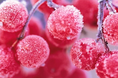 Wallpapers Weekends: Frosted iPad Mini Winter Pack