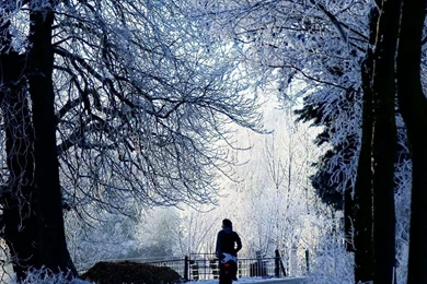 Winter Road Scene iPad Air Wallpapers Download