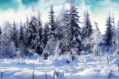 Christmas Winter Wallpapers 2015 Grasscloth Wallpapers