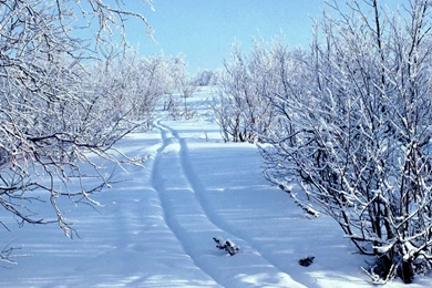 Download Wallpapers 2048x2048 Snow, Snowdrifts, Traces, Sledge ...