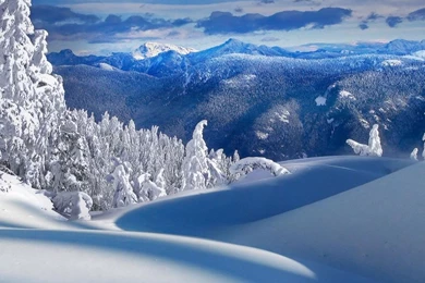 Snow iPad 1 & 2 Wallpapers