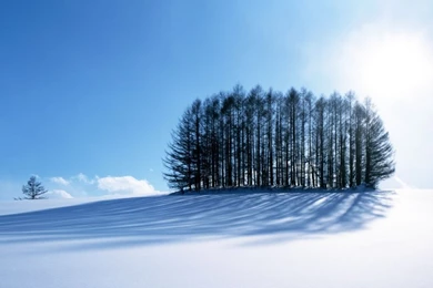 Winter Scenery, Japan HD Desktop Wallpapers : Widescreen : High ...