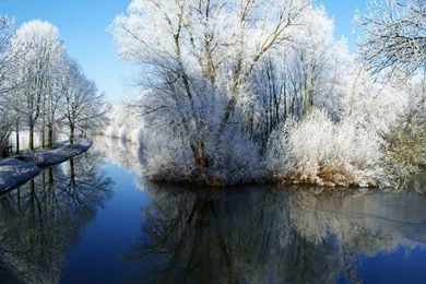 Winter Wonderland iPad Air Wallpapers Download