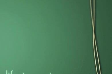 Simple Starbucks Coffee Logo iPhone 6 Wallpapers Download