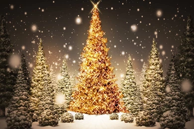 Christmas Tree Desktop Wallpapers