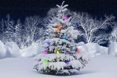 Christmas_newyear 1.jpg