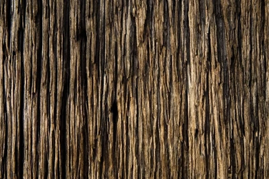 Download Wallpapers 1920x1080 Bark, Wood, Background, Texture Full ...