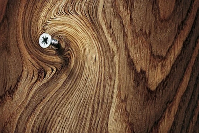 High Resolution Wood Tree Wallpapers 1920×1080 Full Size ...