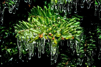 Weed Desktop HD Wallpaper, Weed Backgrounds, New Wallpapers