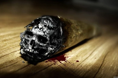 Hd Wallpapers 1920X1080   Widescreen HD Wallpapers