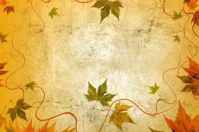 Nature Abstract Wallpapers