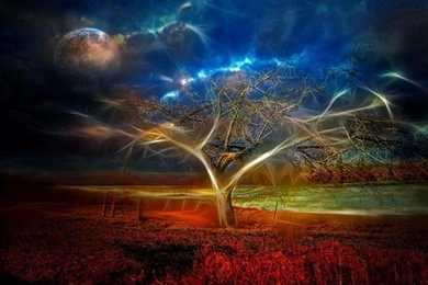 Top 2026 Category Nature Images For Pinterest