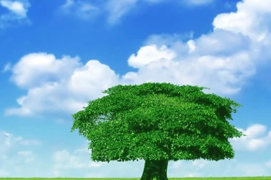 Abstract Nature iPad 2 Wallpapers 09