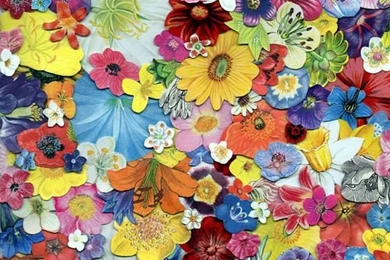 Phone Backgrounds Pictures