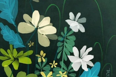 Flower Phone Backgrounds By Iaryx On DeviantArt