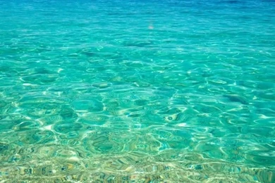 Wooden Dock Transparent Sea Water Android Wallpapers