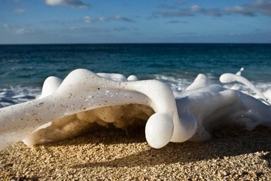 Sea,water Water Sea Waves National Geographic 1600x1200 Wallpapers ...