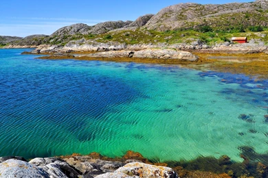 Sea Water Bay Seaweed Wallpapers