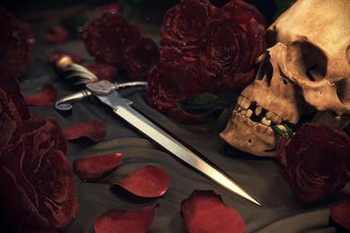 Download Skull And Roses Wallpapers Desktop Backgrounds