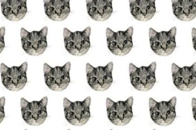 iPhone Backgrounds On Pinterest