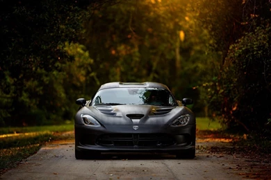 Dodge Viper Car Road HD Wallpapers FreeWallsUp