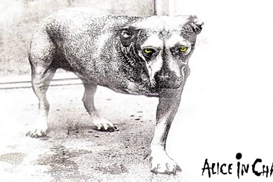 Alice In Chains   Stone   YouTube