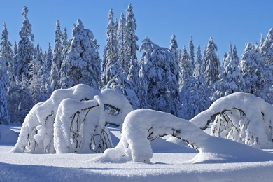 Hd Winter Wallpapers 3 – HdCoolWallpapers.Com