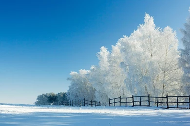 Hd Winter Wallpapers 1 – HdCoolWallpapers.Com