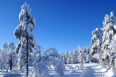 Beautiful Winter Wallpapers In Best Quality   Snow Landscapes At ...