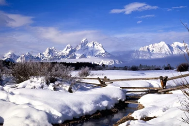 Free Wallpicz: Hd Desktop Wallpapers Snow