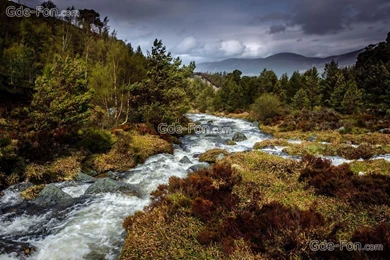 537715_highland_stream_coylumbridge_scotland_great_britai_4256x2832_www.Gde Fon.com.jpg