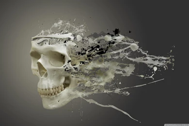 Disintegrating Skull wallpaper 2560x1600 Wallpapers