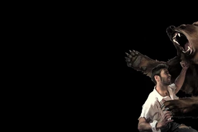 Man Vs Bear Artwork Battle Hd Wallpapers (