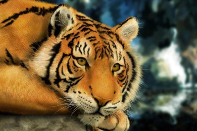 Download Live Tiger 3D Ultra HD For Android, Live Tiger 3D Ultra ...