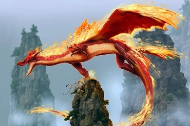 Full HD Dragon Wallpapers   Splendid Wallpapers HD