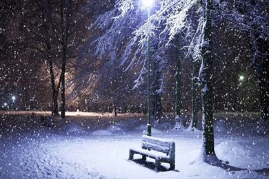 Winter Park Wallpapers   Crazy Frankenstein