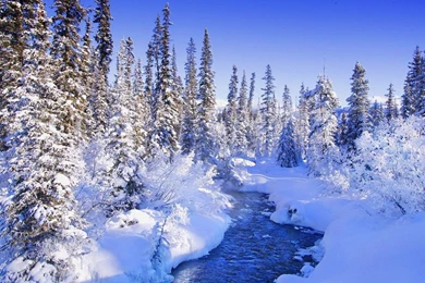 Winter Nature Dreamy 1280x1024 Wallpapers, 1280x1024 Wallpapers ...