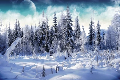 1280x1024 Winter Wonderland 2 Desktop PC And Mac Wallpapers