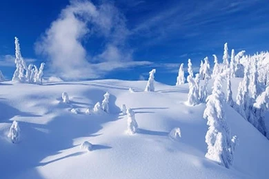 Winter Is Coming Wallpapers   Crazy Frankenstein