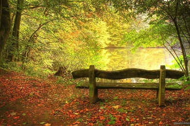 Peaceful Bench Autumn Season Wallpapers   1336x768 IWallHD ...