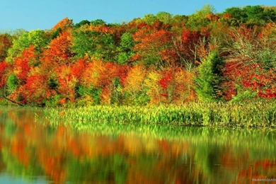 Stunning Colors Of Autumn Wallpapers