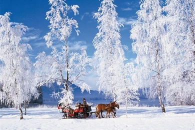 Winter Scenes Wallpapers   Crazy Frankenstein